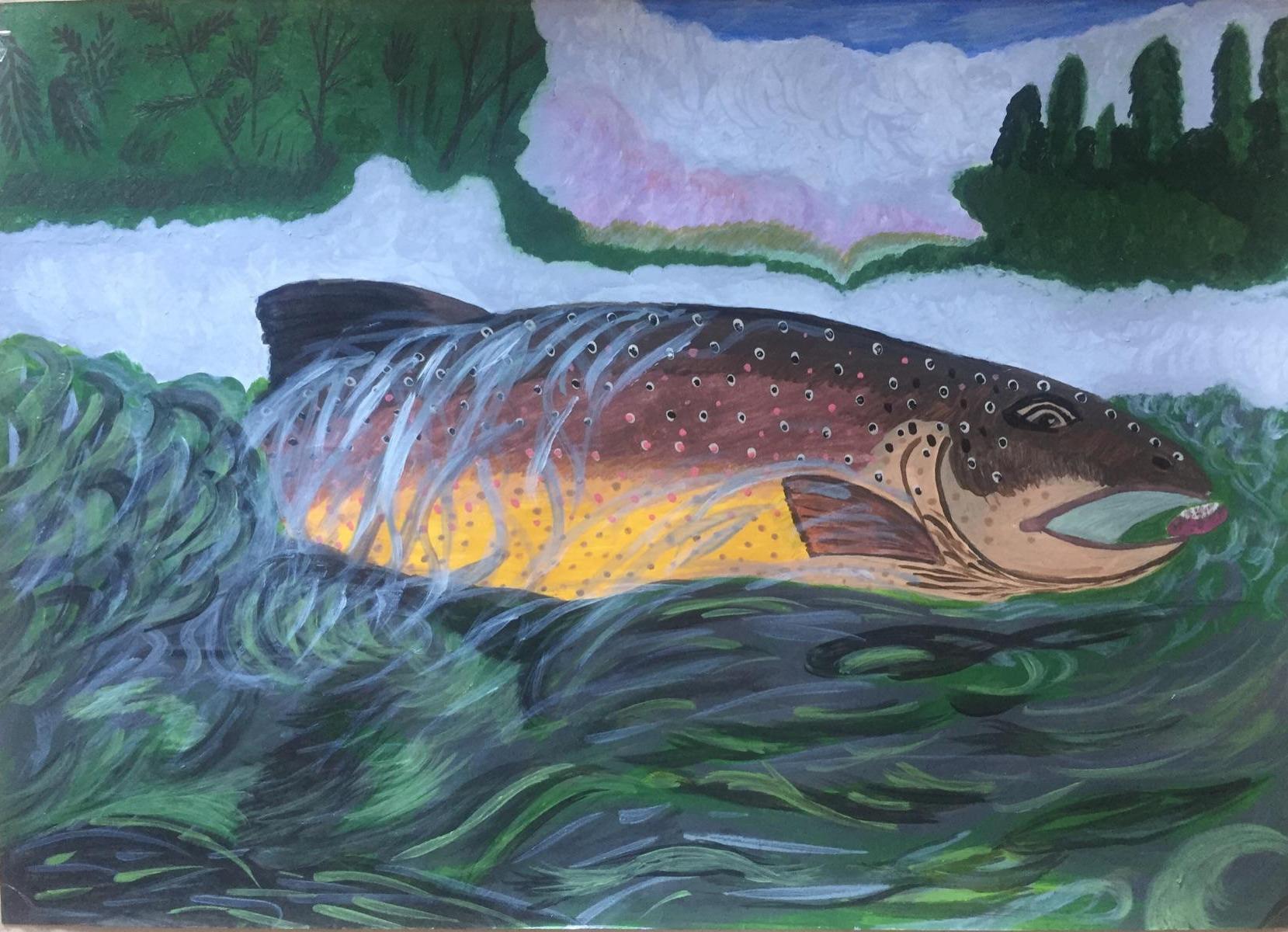 Экологическая акция «День лосося» пройдет 18 мая в Благовещенске
